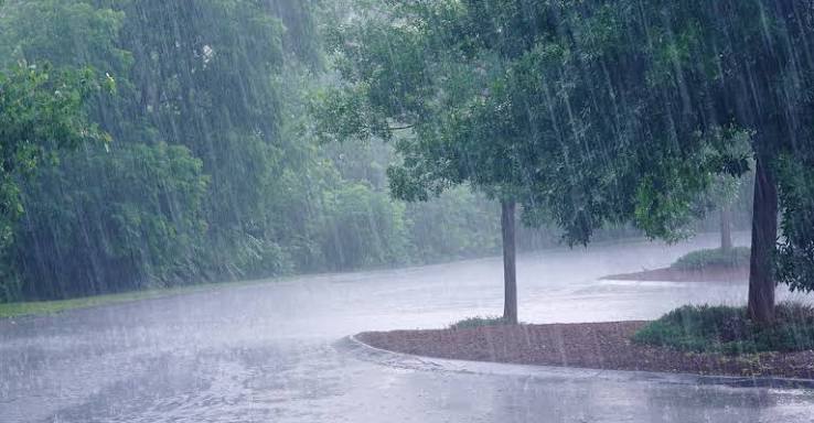 Météo : Des orages et pluies annoncés dans le Sud, la chaleur s’intensifie dans le reste du pays