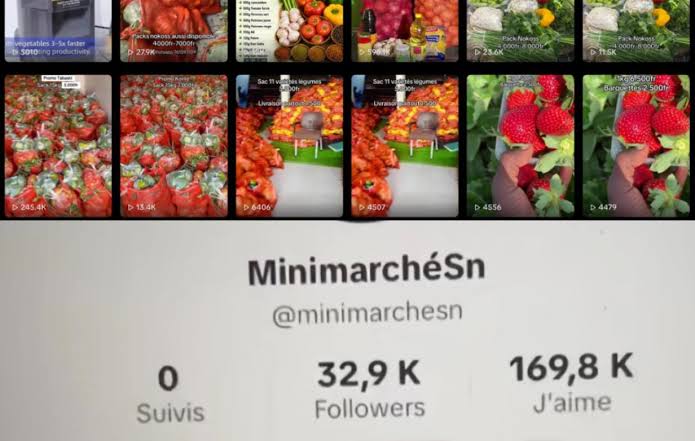 Arnaque à grande échelle sur TikTok : la propriétaire du mini-marché « Sn » arrêtée par la DSC