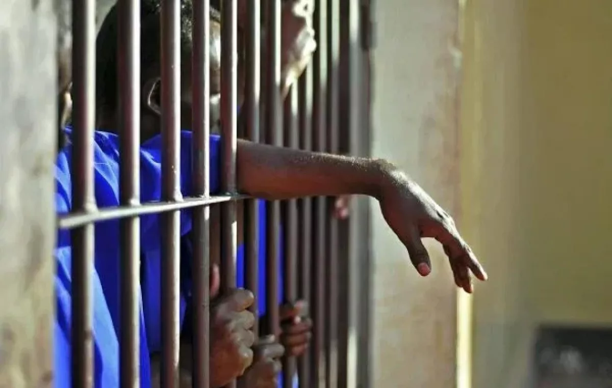 Diourbel : trois ans de prison pour rien, deux frères sauvés par… leur victime présumée