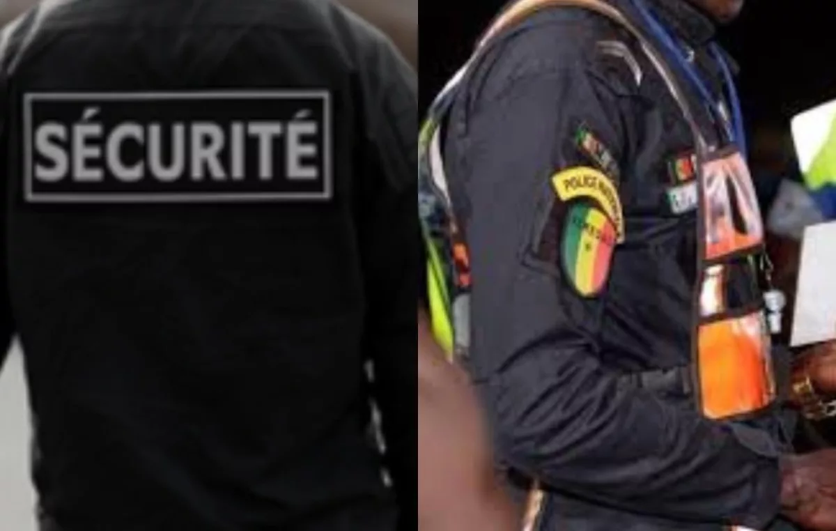 Un vigile agresse deux policiers : il refuse l’inspection de l’arrière-cour de la villa qu’il surveille, il y avait de la musique et un…