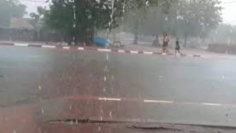 Météo : Des activités pluvio-orageuses annoncées dans plusieurs localités