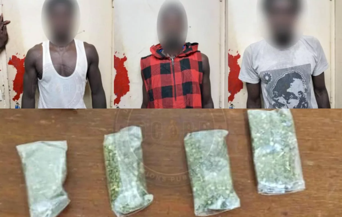 Drogue dissimulée dans un tam-tam à Yoff : cinq suspects arrêtés par la gendarmerie