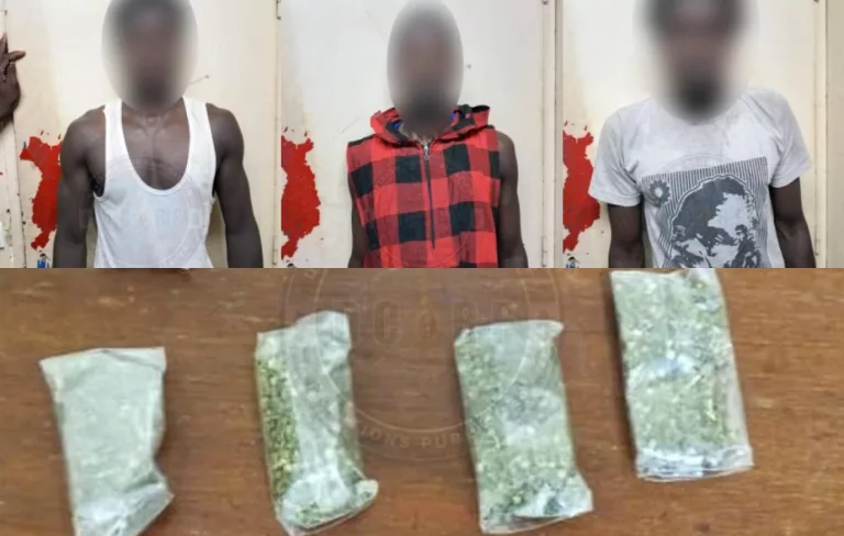 Drogue dissimulée dans un tam-tam à Yoff : cinq suspects arrêtés par la gendarmerie