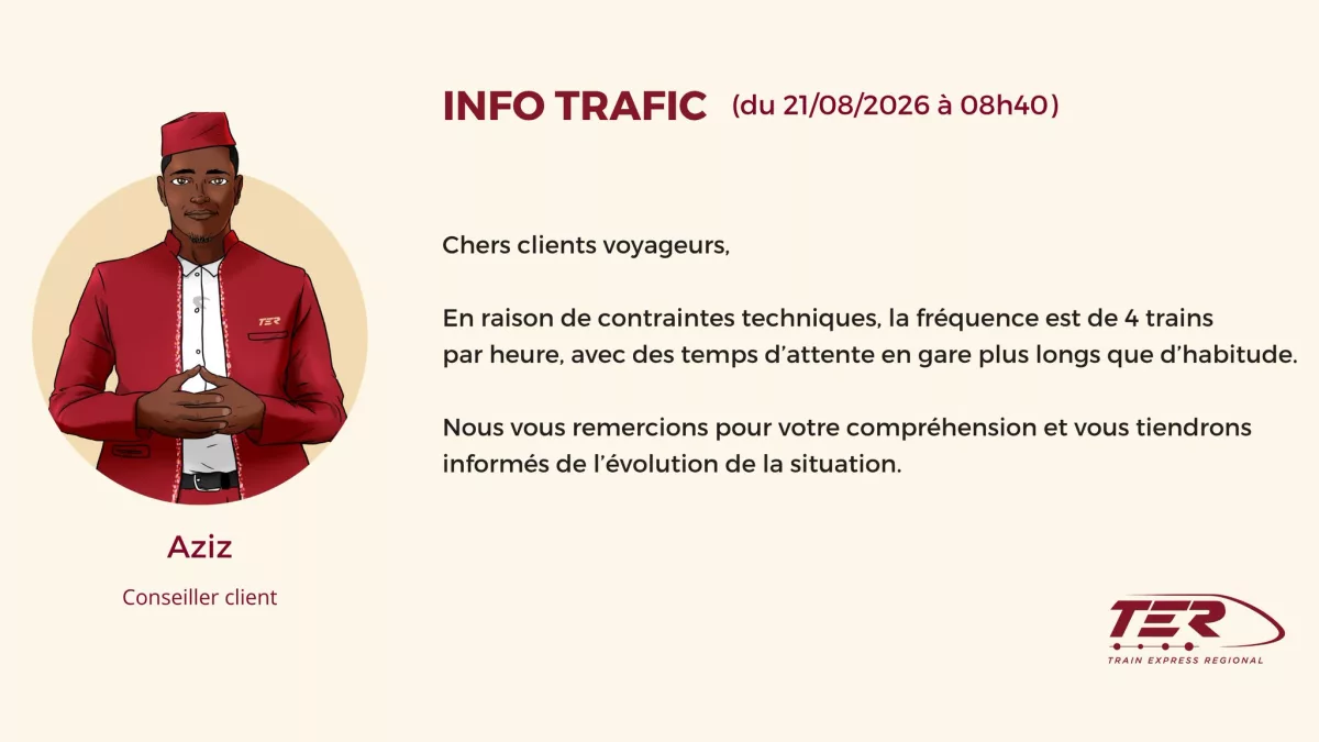 Trafic TER perturbé ce 21 août en raison de contraintes techniques