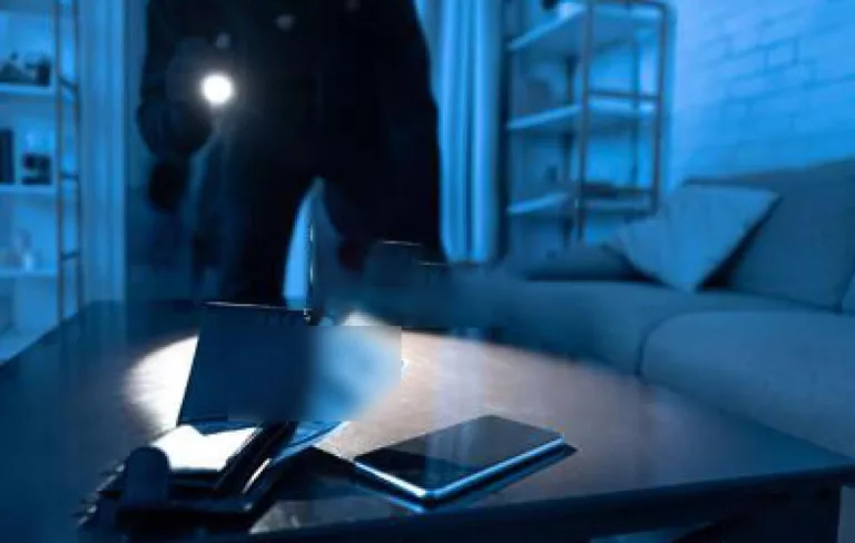 Vol présumé d’un téléphone : elle déclare être entrée dans la maison pour satisfaire un besoin naturel