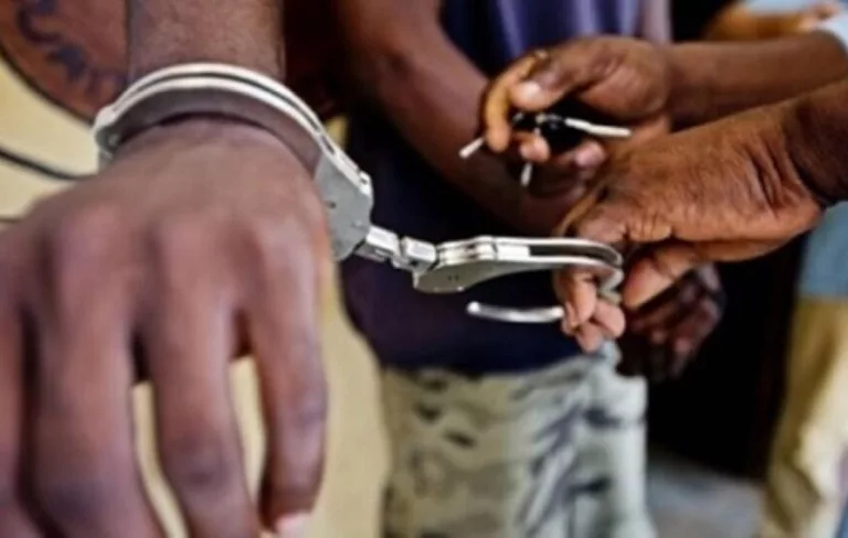 Vol à l’arraché d’une perruque : Un jeune cordonnier condamné à 6 mois de prison ferme