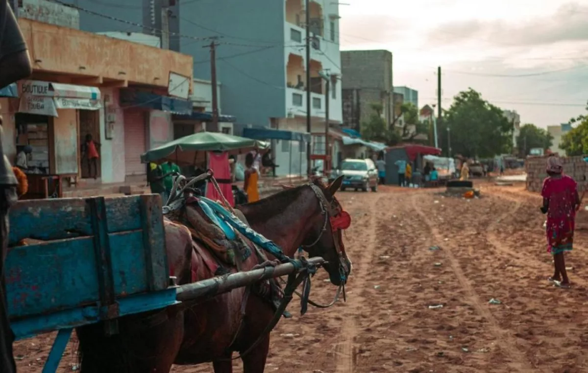 Vol d’un cheval et d’une charrette : un individu condamné à deux ans de prison