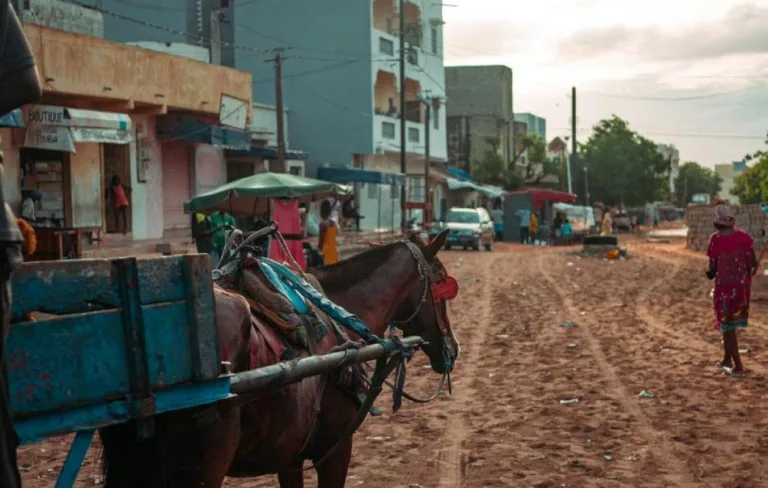 Vol d’un cheval et d’une charrette : un individu condamné à deux ans de prison
