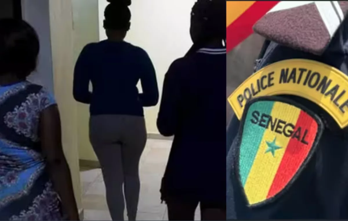 Vol de 500 euros en boîte de nuit : trois jeunes filles terminent leur virée au tribunal