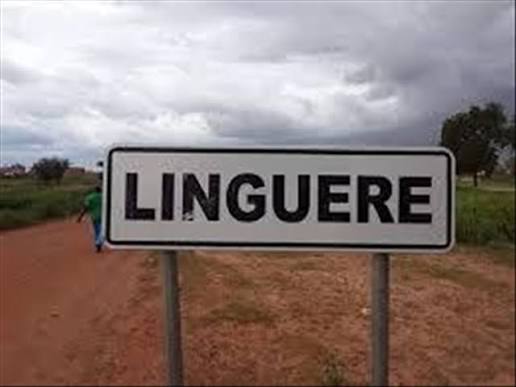Sidy Tall quitte l’APR à Linguère et rejoint Kiiraay derrière le ministre Idrissa Samb