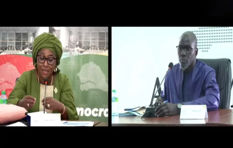 Wolof vs Français à l'Assemblée : Le Directeur des Grandes Entreprises recadre la députée Anta Dia