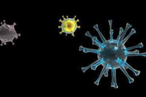 Nouveaux variants hautement transmissibles : Le Dg De L'oms Sonne L'alerte