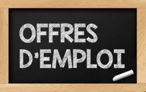 Les 14 Offres d’emplois et de stages du 03 Août 2023