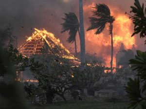 Incendies à Hawaï: le bilan humain dépasse les 100 morts