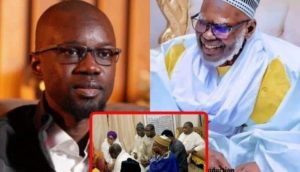 Habib Sy : « Le Khalife nous a envoyé vers Sonko, il nous a aussi confié un présent à lui remettre »