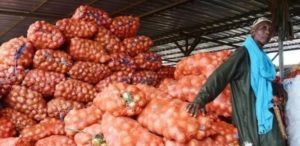 Consommation : Le prix de l’oignon connaît une baisse sur le marché actuellement (ASCOSEN)