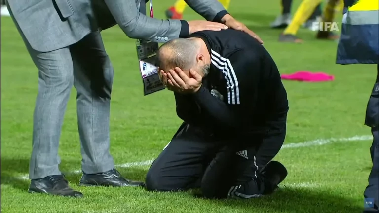 Algérie : Un cauchemar hante Djamel Belmadi avant la CAN 2023