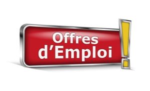 Les 13 Offres d’emplois et de stages du 02 Août 2023