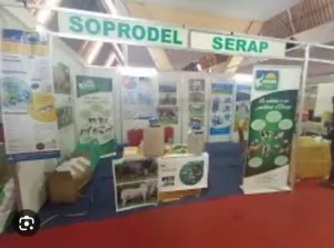 Soprodel : détournement de 138 millions F CFA, le Daf déféré