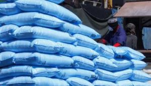 Keur Ndiaye Lô : 30 tonnes de riz volés dans un entrepôt