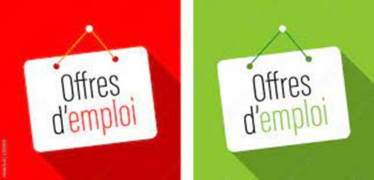 Les 13 Offres d’emplois et de stages du 08 Septembre 2023