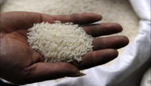 Hausse exponentielle du prix du riz