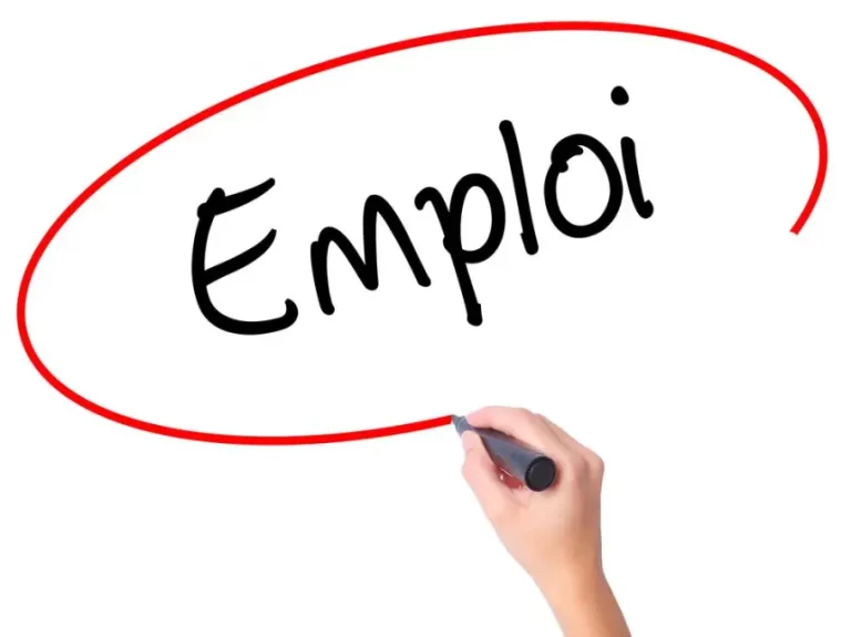 Les 11 Offres d’emplois et de stages du 02 Novembre 2023