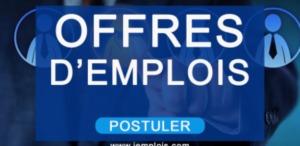 Les 14 Offres d’emplois et de stages du 03 Novembre 2023