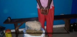 Thiès : le dealer de 60 ans dit fumer du chanvre indien pour…