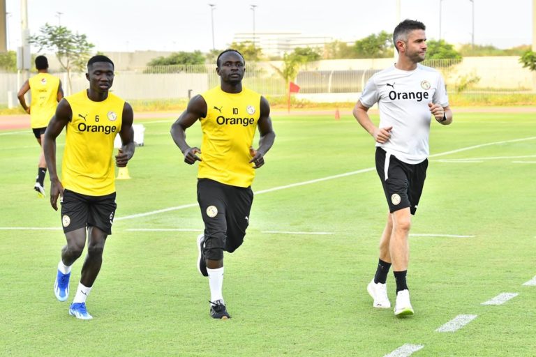 Programme des Lions – Séance d’entrainement ouverte ce soir !
