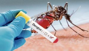 Alerte Dengue à Pikine : 57 cas enregistrés entre août et octobre
