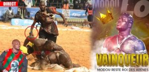 Qui est Diaz , l’homme qui a interrompu le combat Modou Lo-Ama Baldé ?