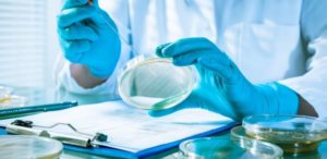 Quand les selles se transforment en médicaments