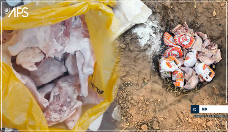 Kaffrine : 17 kg de cuisse de poulets saisis par le service de l’élevage