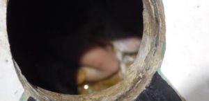 Fass : Une femme accusée d'avoir jeté un foetus dans des toilettes