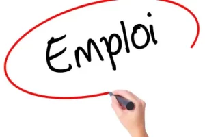 Les 17 Offres d’emplois et de stages du 31 Janvier 2024