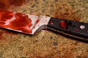 Sa voisine refuse ses avances, il lui assène plusieurs coups de couteau