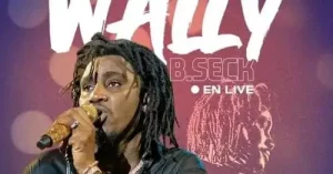Guinée : Appel au boycott du concert de Wally Seck