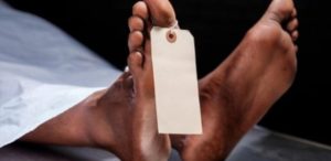 Kolda : un vieil homme retrouvé mort, son présumé meurtrier arrêté