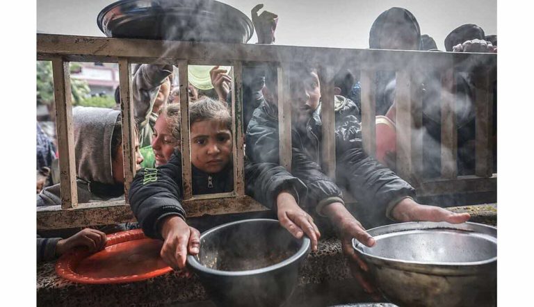 Dans le nord de Gaza, manger son cheval pour ne pas mourir de faim