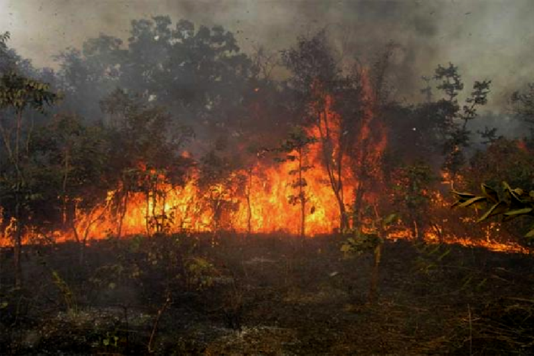 Saraya : 48 incendies de brousse emportent plus de 2000 hectares du tapis herbacé