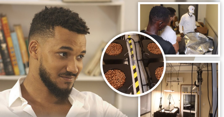 Chambre criminelle : Bachir de la série Dérapages jugé pour trafic de drogue