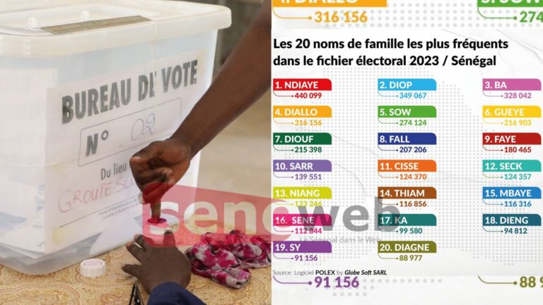 Présidentielle : Ndiaye, Ba, Diallo… Les 20 noms de famille les plus répandus dans le fichier électoral