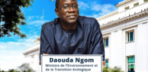 Oncle supposé de Sonko : les explications détaillées du ministre Daouda Ngom
