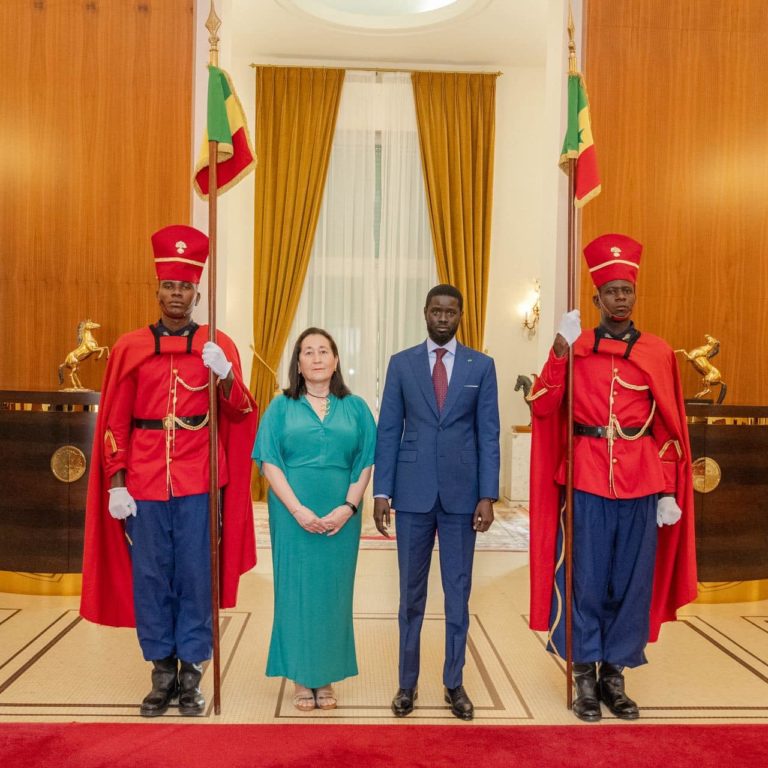 Palais : Deux nouveaux ambassadeurs présentent leurs lettres de créance au Président Bassirou Diomaye Faye