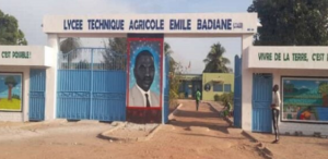 Lycée technique agricole de Bignona : Les étudiants grévistes bloquent les cours dans la commune