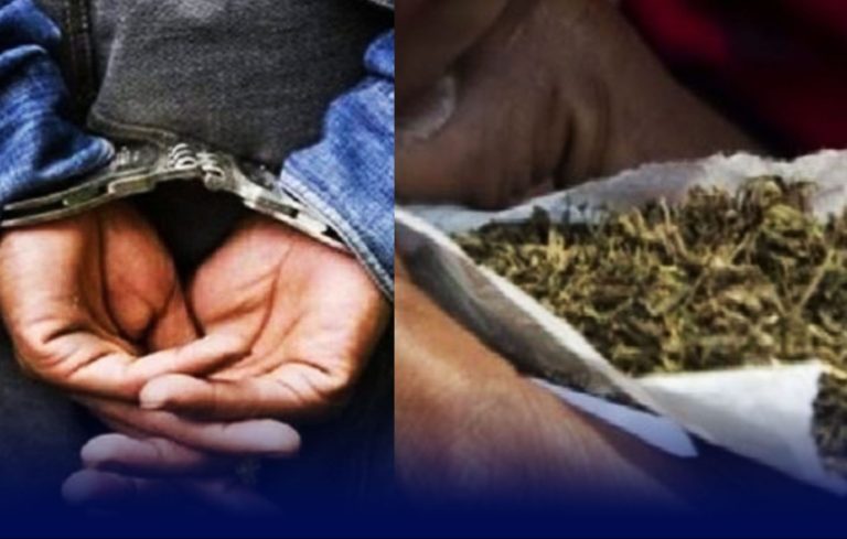 Guédiawaye-Jugé pour trafic illicite : Le Papi « qui soignait son asthme » avec du chanvre indien écope de deux ans de prison