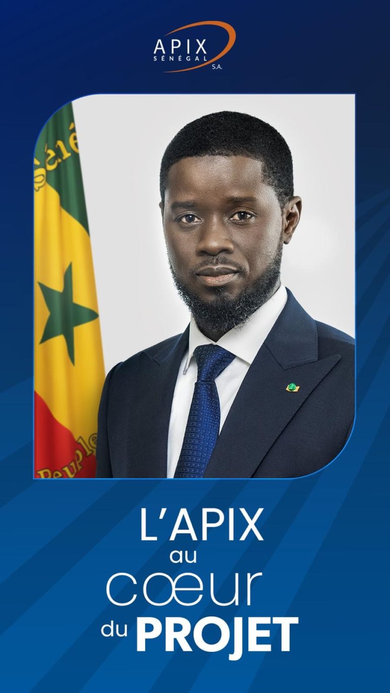 Mise en oeuvre du Projet : Comment l’APIX compte jouer sa partition