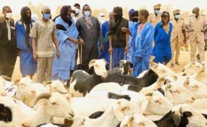 Mabouba Diagne exige un approvisionnement adéquat en moutons pour la Tabaski au Sénégal