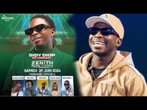 Zenith avec Sidy Diop, découvrez quelques artistes qui seront de la partie